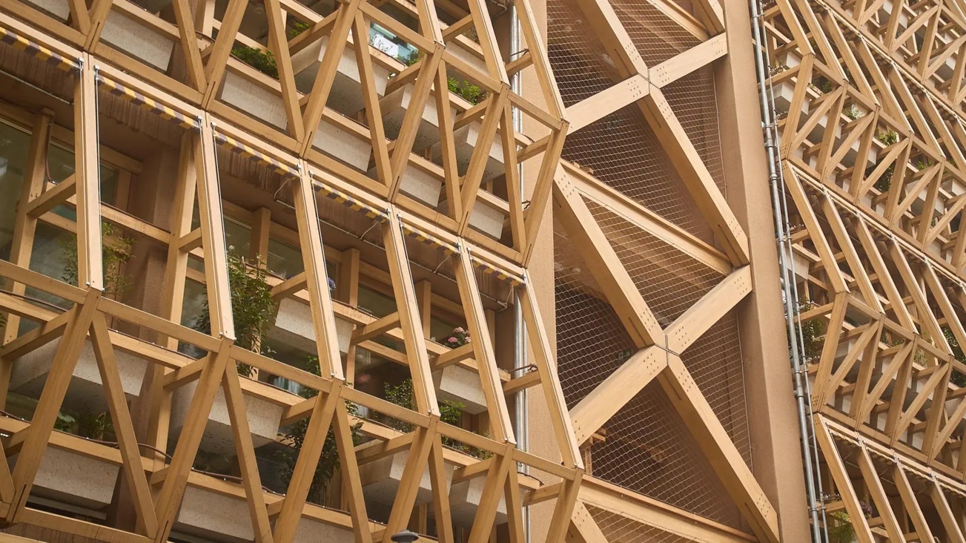 Infinito Delicias, reutilización adaptativa y construcción en madera.