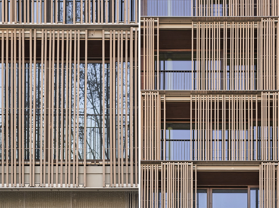 El asolamiento como herramienta de diseño en la arquitectura.