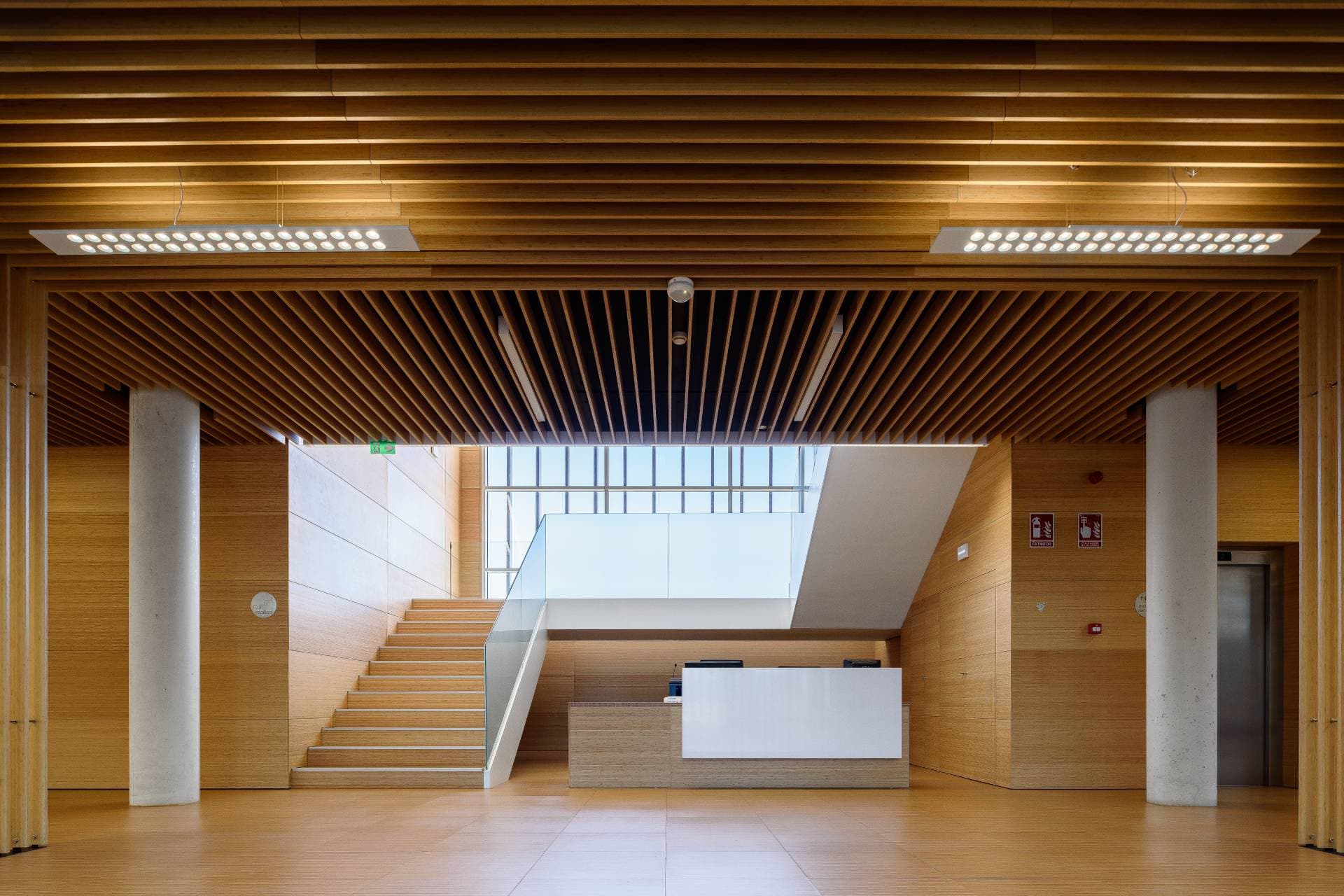 06-diseno-interior-bambu-tgss-motril-pc