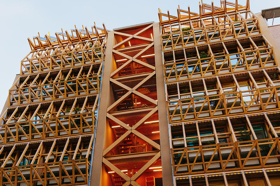 consultoría en construcción en madera