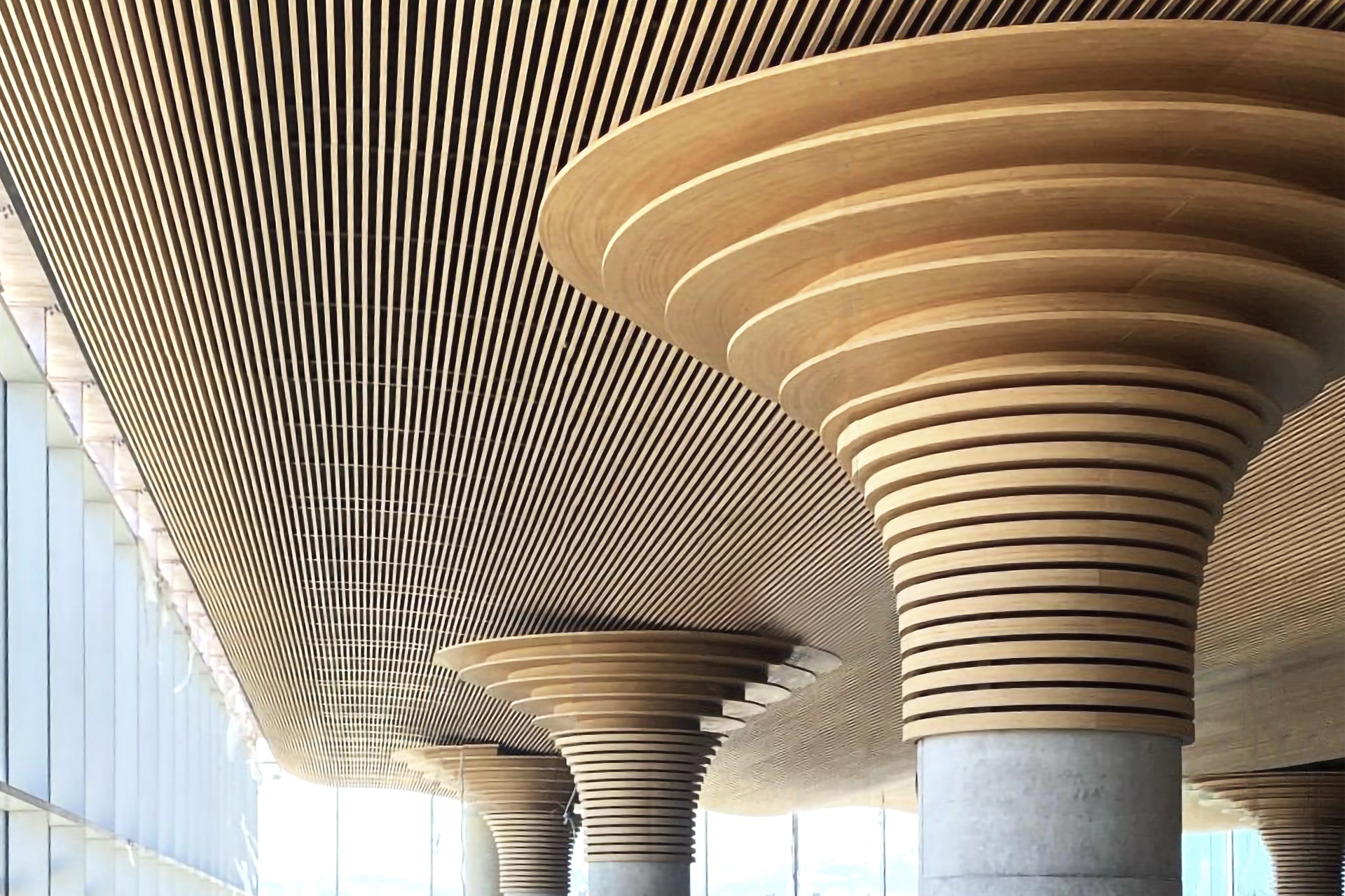 Sala VIP Aeropuerto de Palma. Techo ondulado de bambú laminado