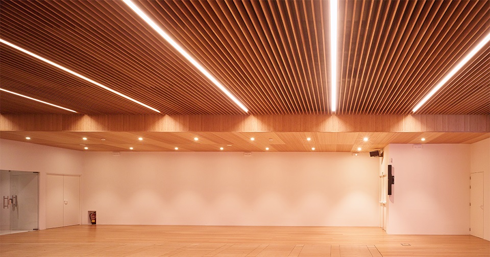 bamboo slat ceiling