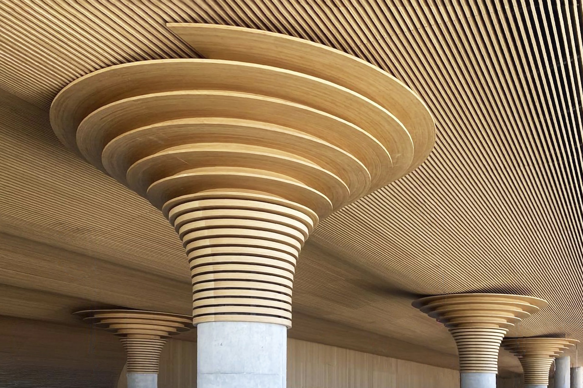 Palma Airport VIP Lounge. Undulated laminated bamboo ceiling