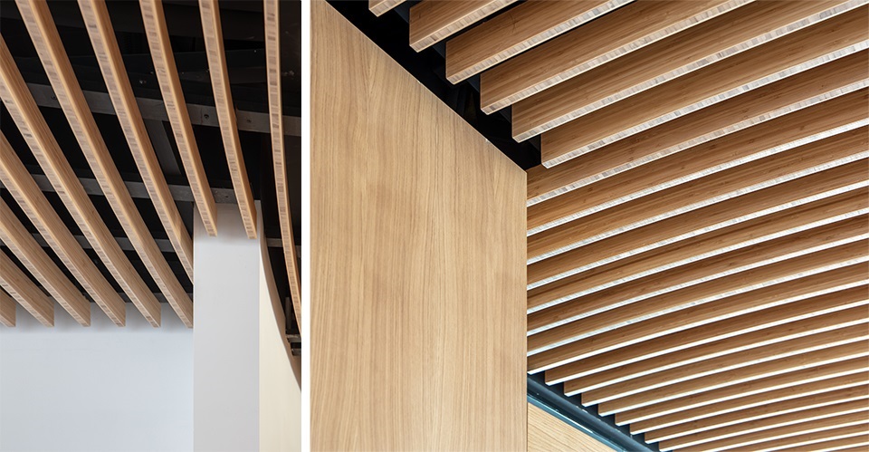 bamboo slat ceiling