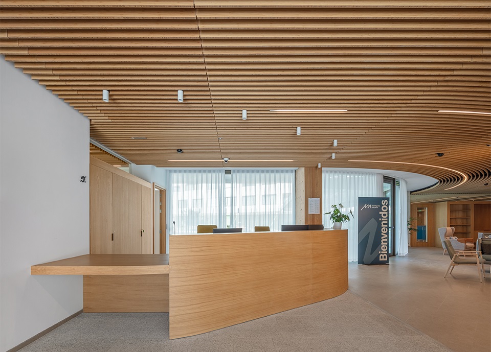 bamboo slat ceiling